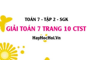 Giải Toán 7 trang 10 tập 2 Chân trời sáng tạo SGK
